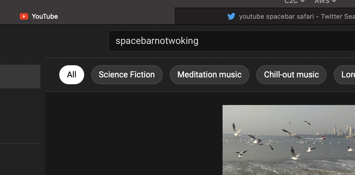 Spacebar not working in youtube website on Safari